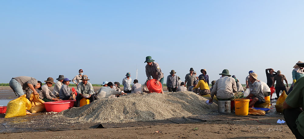 anh-tap-ket-ngheu-va-phan-loai